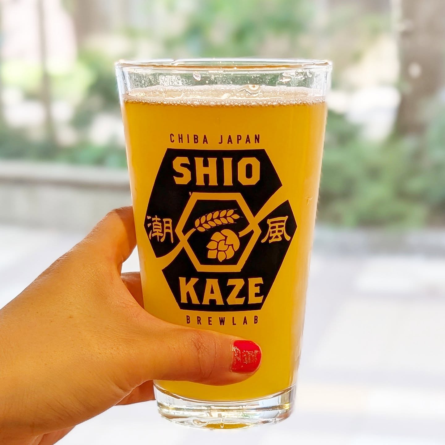 山本ホップが頂いたRevival Craftの「Mango Impact」