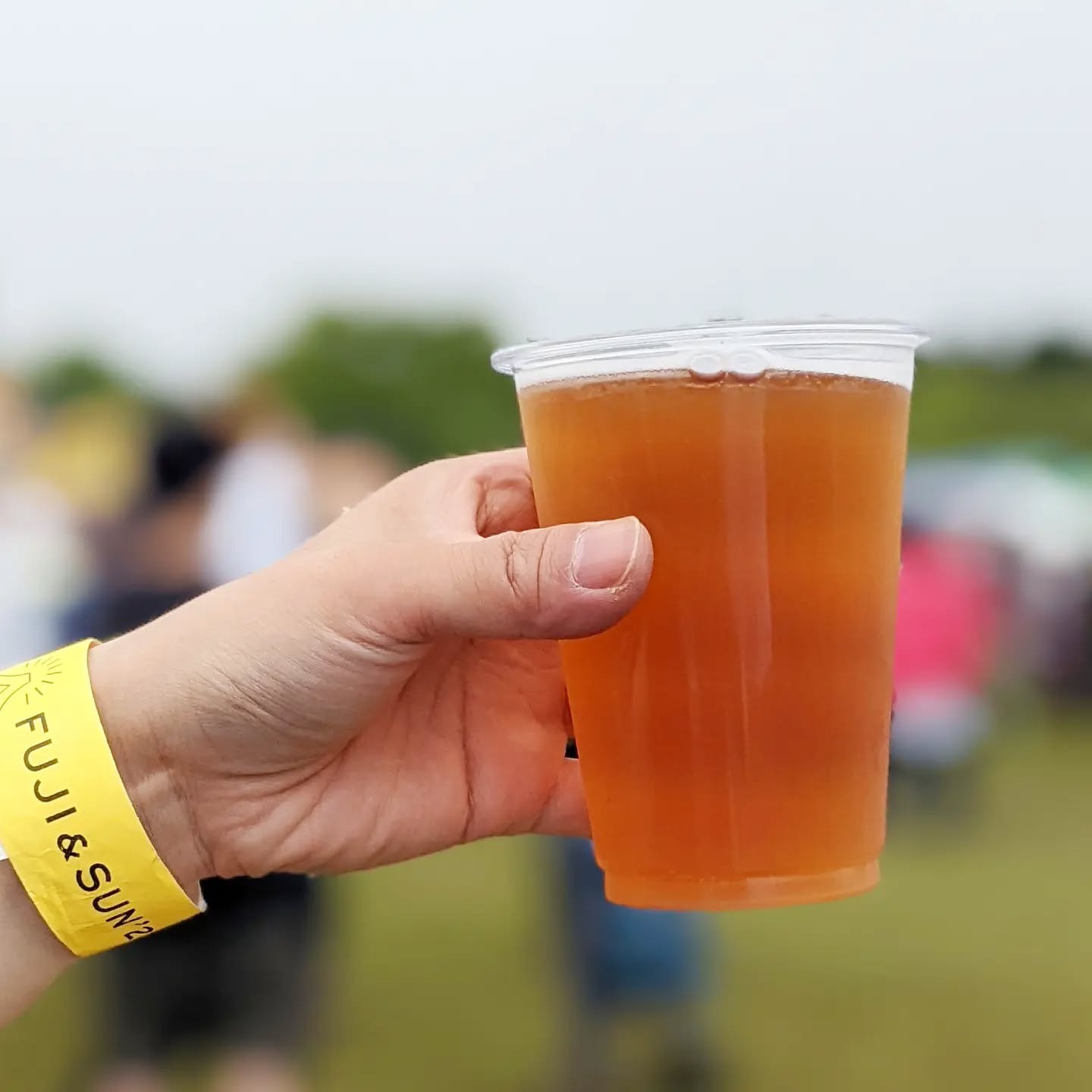 山本ホップが頂いたFUJIYAMA HUNTER'S BEERの「富士のほうじ茶ビール in FUJI & SUN」