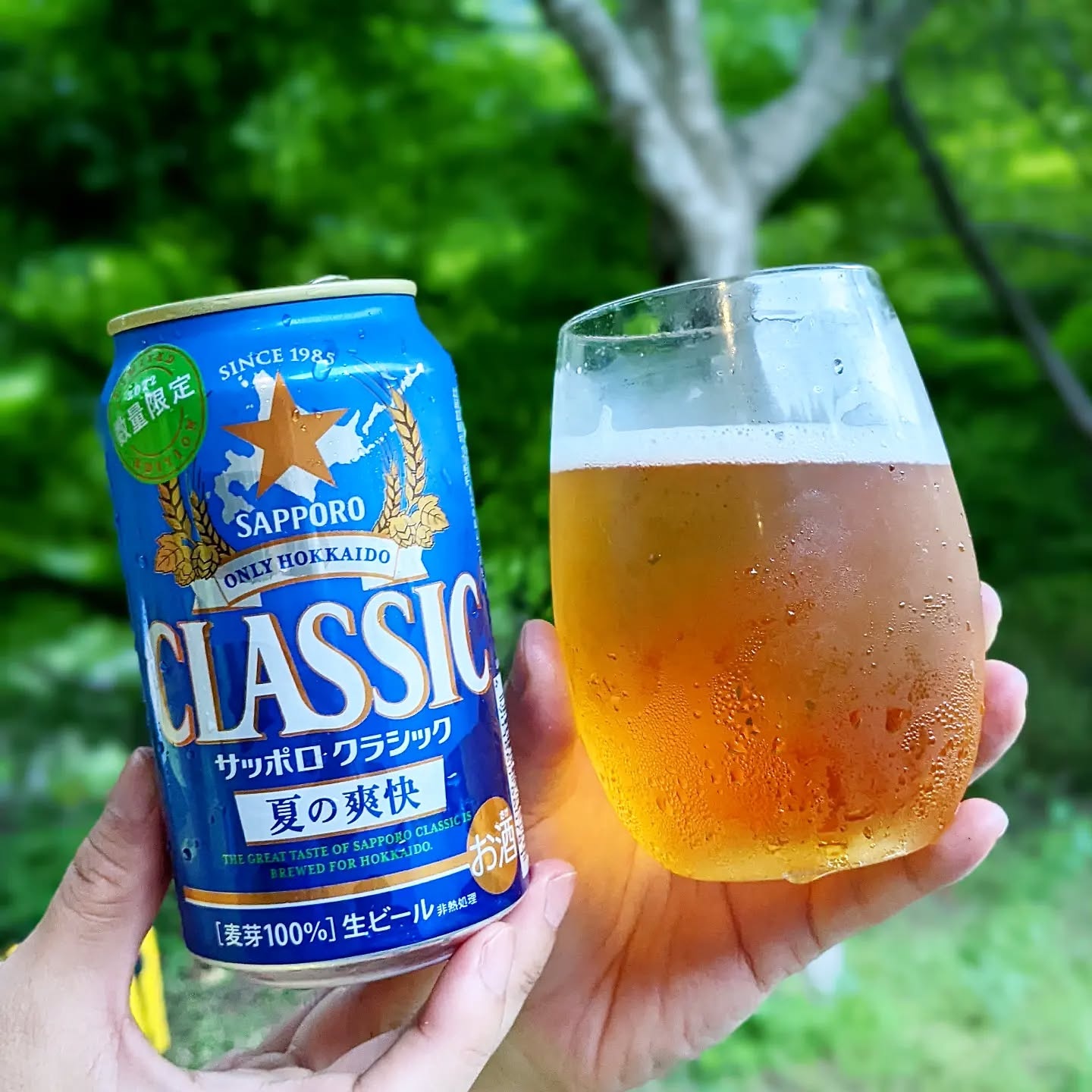 山本ホップが頂いたサッポロビールの「Classic 夏の爽快 サッポロクラッシック」