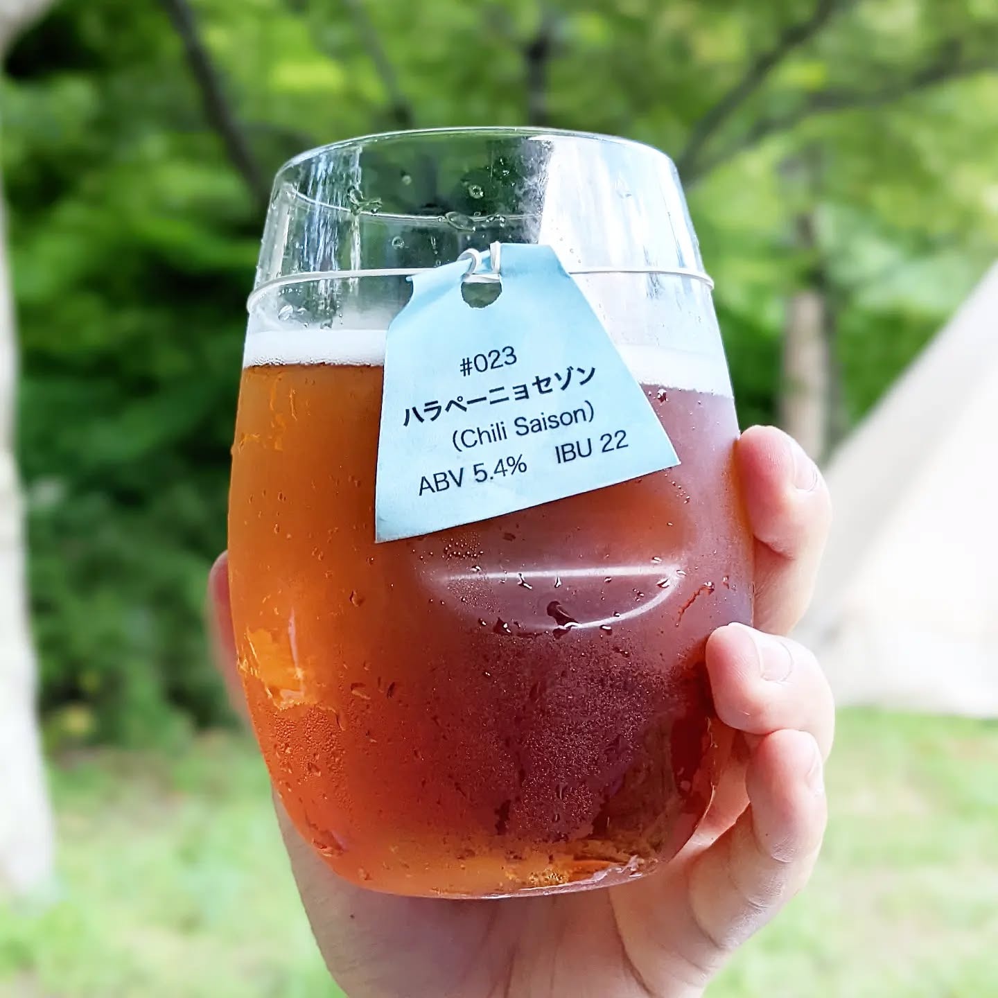 山本ホップが頂いたBRIGHT BLUE BREWINGの「ハラペーニョセゾン」