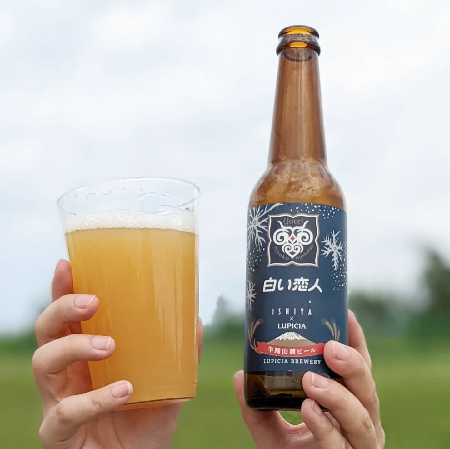 山本ホップが頂いたLupicia Breweryの「羊蹄山麓ビール 白い恋人」