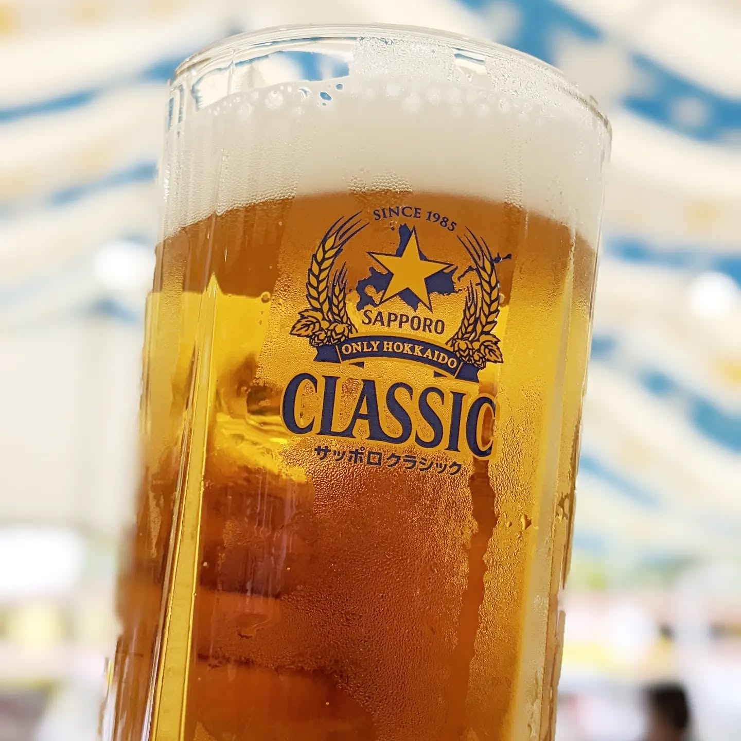 山本ホップが頂いたサッポロビールの「サッポロクラッシック」