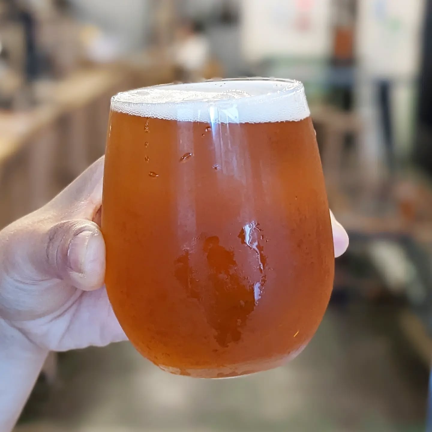 山本ホップが頂いたTKBrewingの「あたしのザッパ My Favorite Zappa」