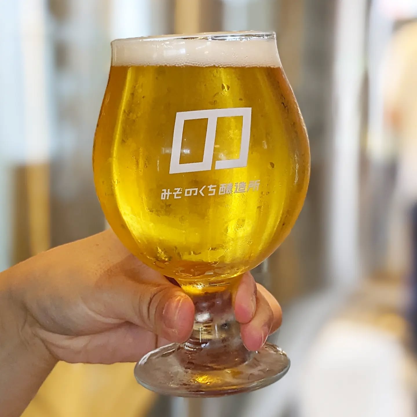山本ホップが頂いたみぞのくち醸造所の「ノグチビアーズ マイクロIPA」