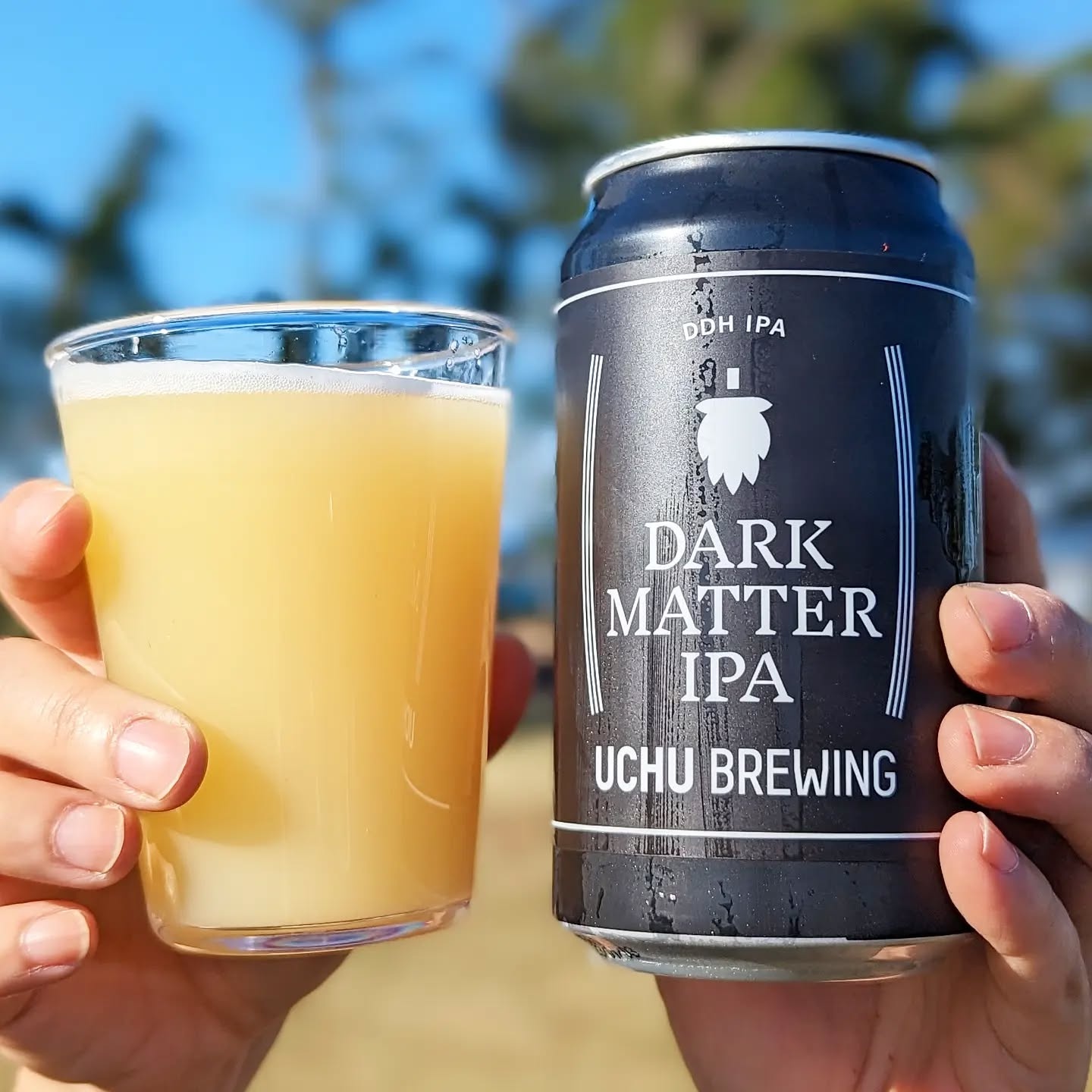 山本ホップが頂いたうちゅうブルーイングの「DARK MATTER IPA DDH IPA」