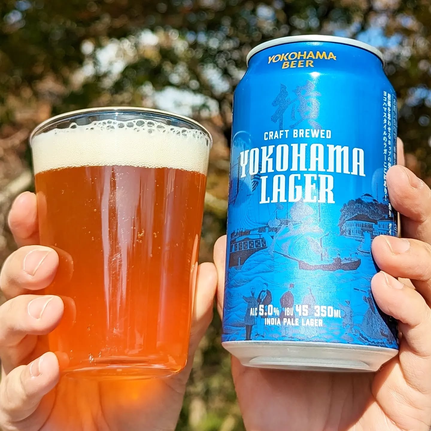 山本ホップが頂いた横浜ビールの「YOKOHAMA LAGER」