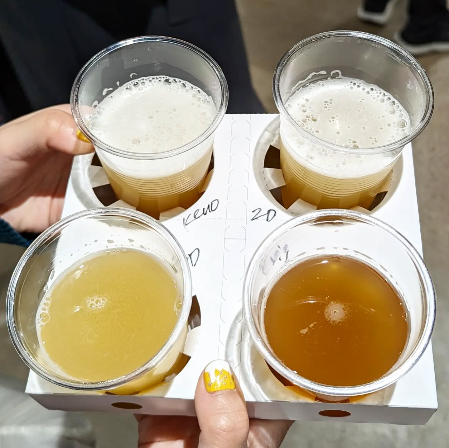 山本ホップが頂いたTotopia Breweryの「4種飲み比べ」