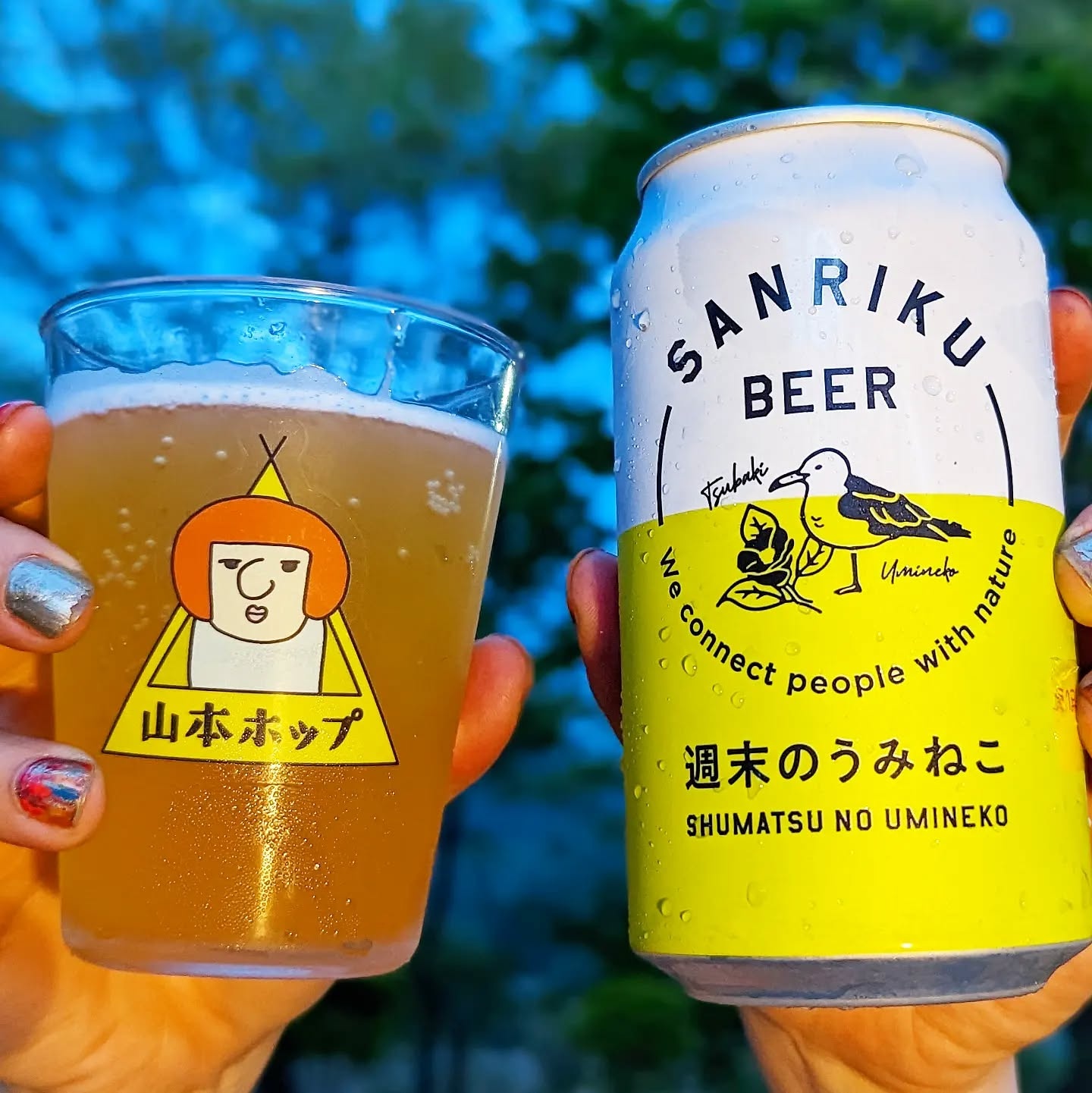 山本ホップが頂いた三陸ビールの「週末のうみねこ」