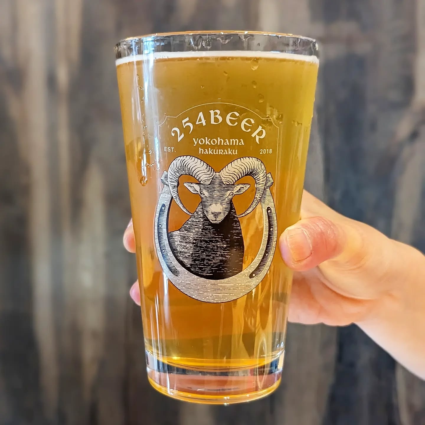 山本ホップが頂いた254 BeeRの「Citrus Life」