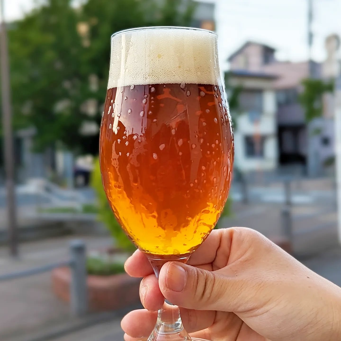 山本ホップが頂いたTHRASH ZONEの「TAMACHI BREWERY 反町IPA」