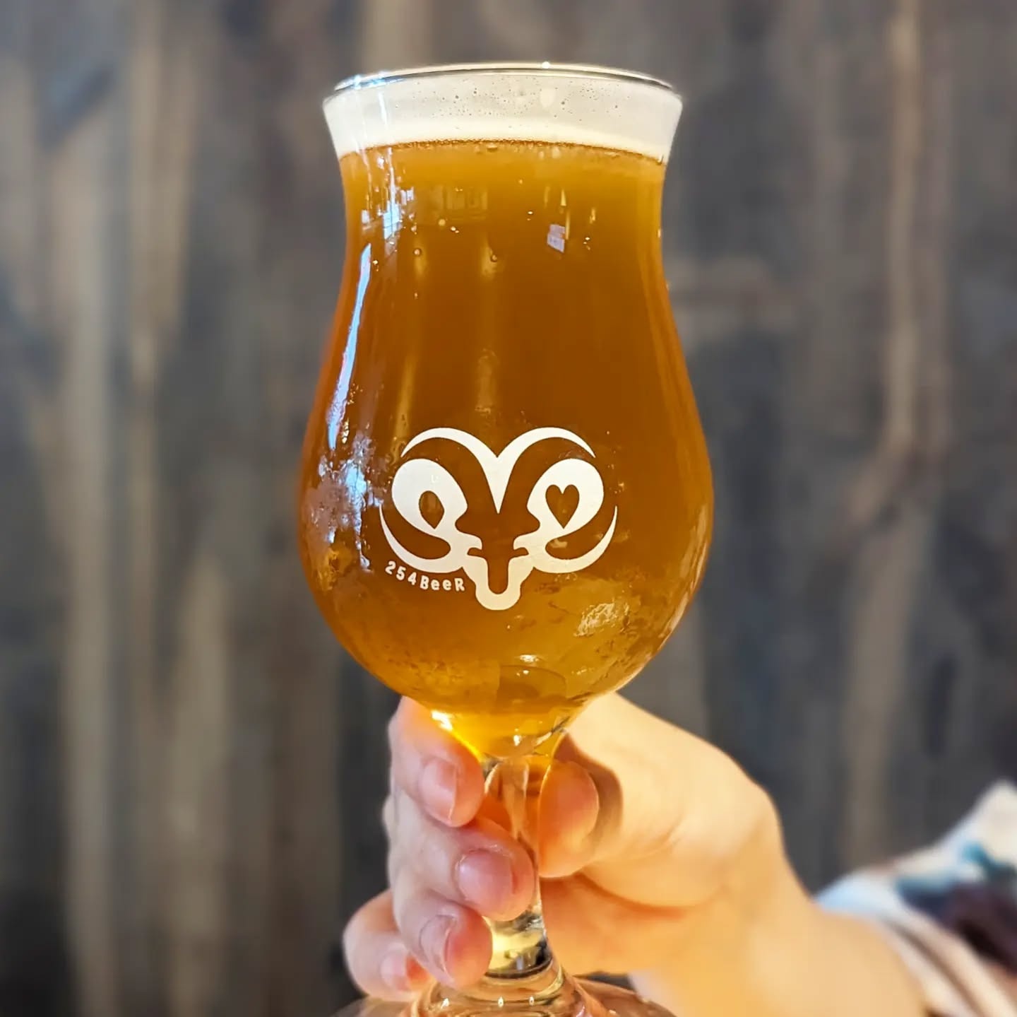 山本ホップが頂いた254 BeeRの「S54」