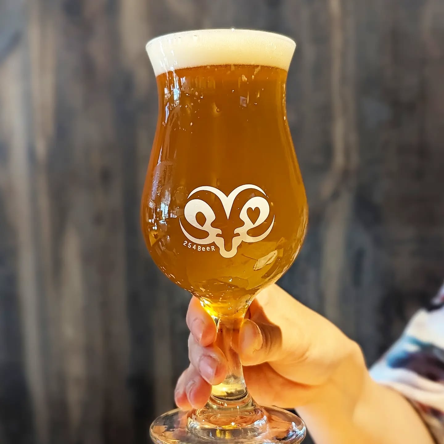 山本ホップが頂いた254 BeeRの「白楽IPA」