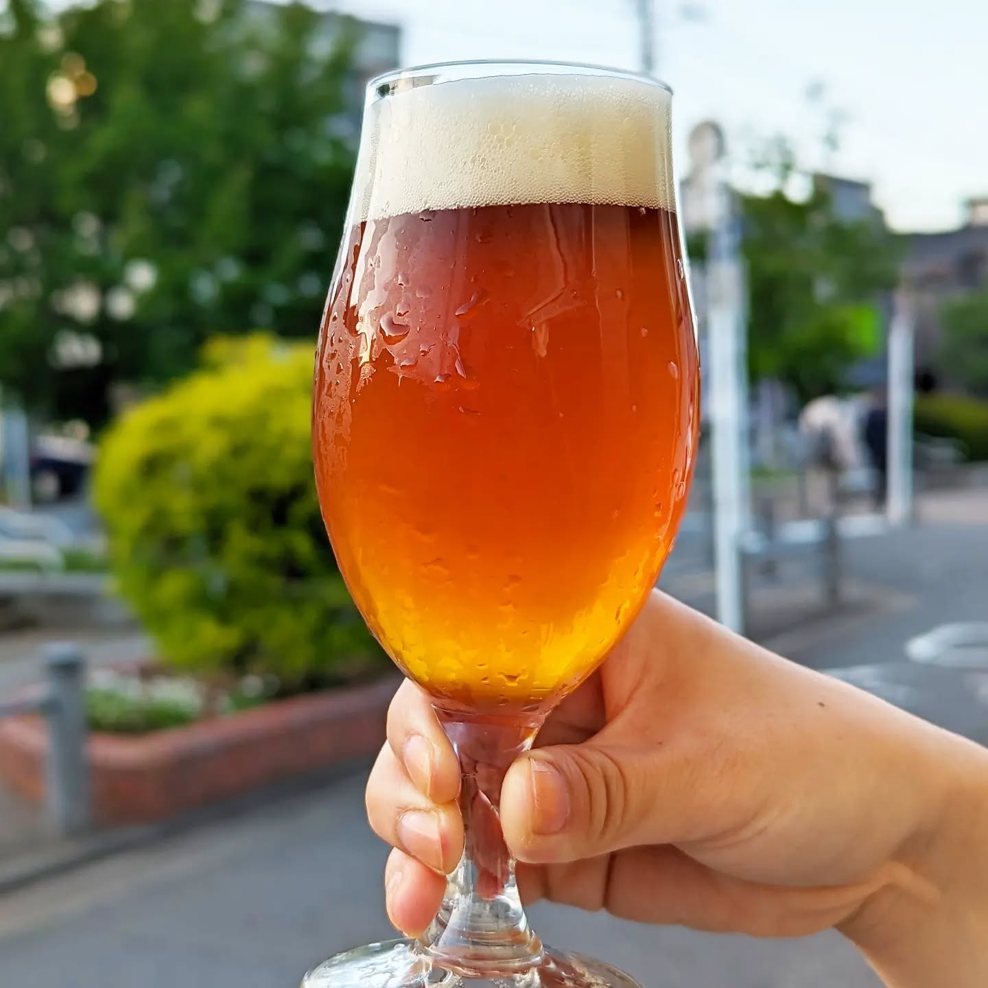 山本ホップが頂いたTHRASH ZONEの「TAMACHI BREWERY 反町エール」