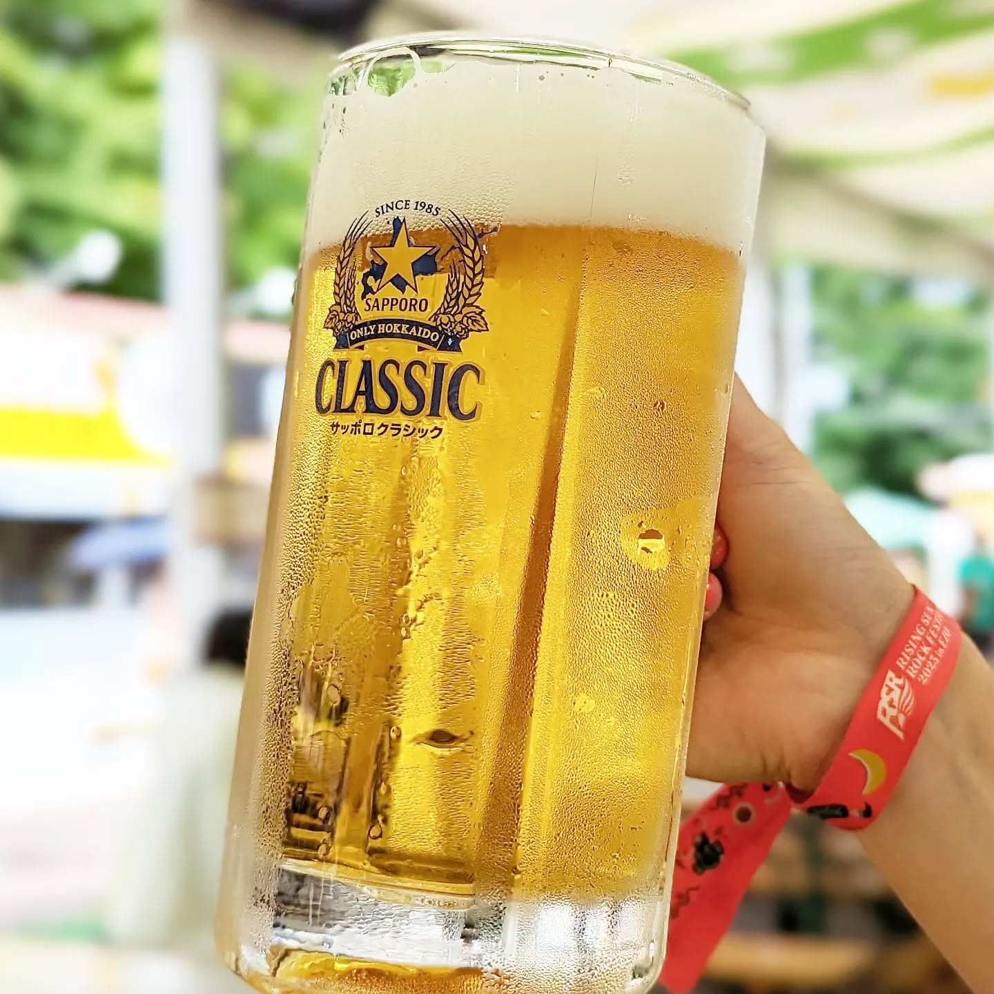山本ホップが頂いたサッポロビールの「サッポロ クラシック」