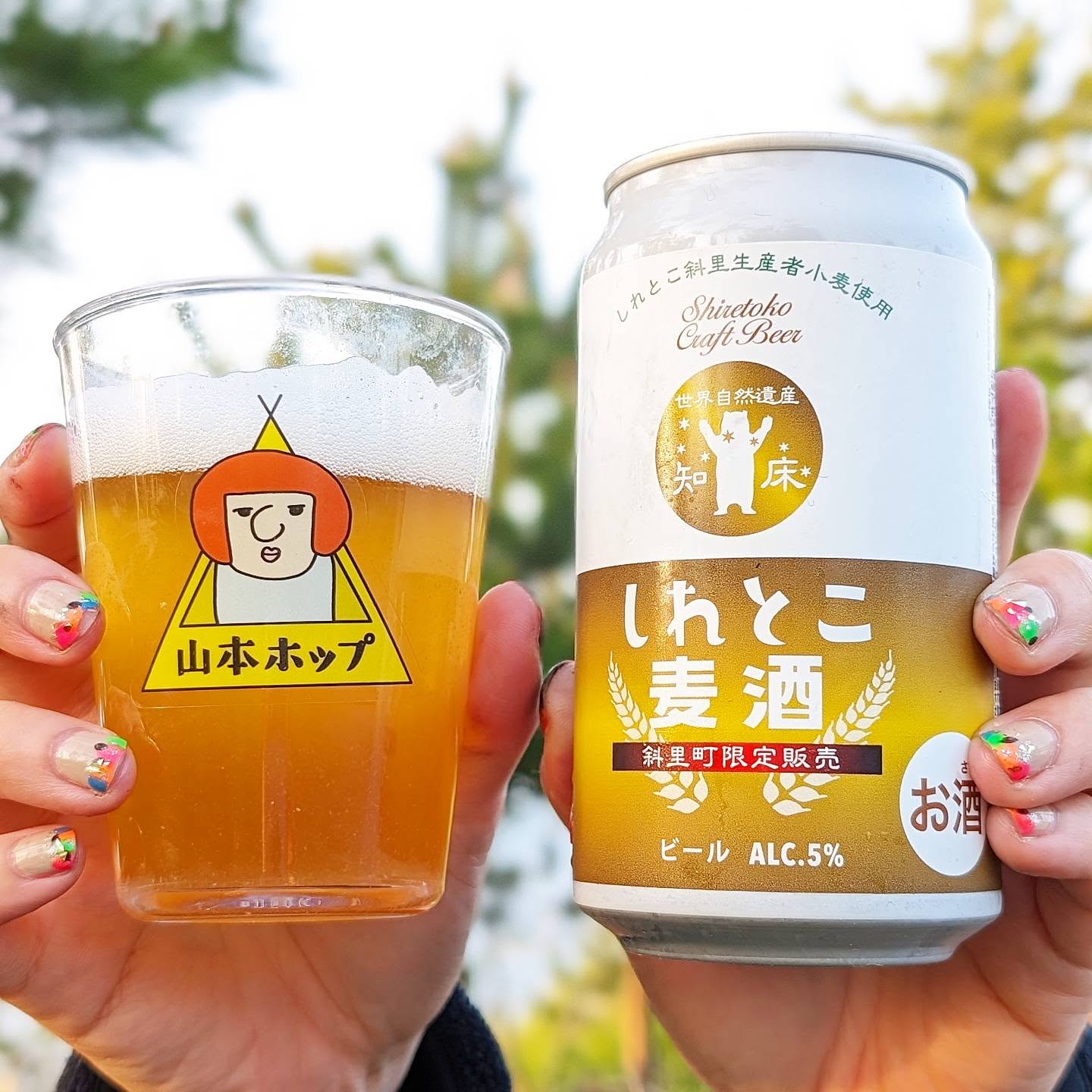 山本ホップが頂いた網走ビールの「しれとこ麦酒 知床テロワール 斜里町限定販売」