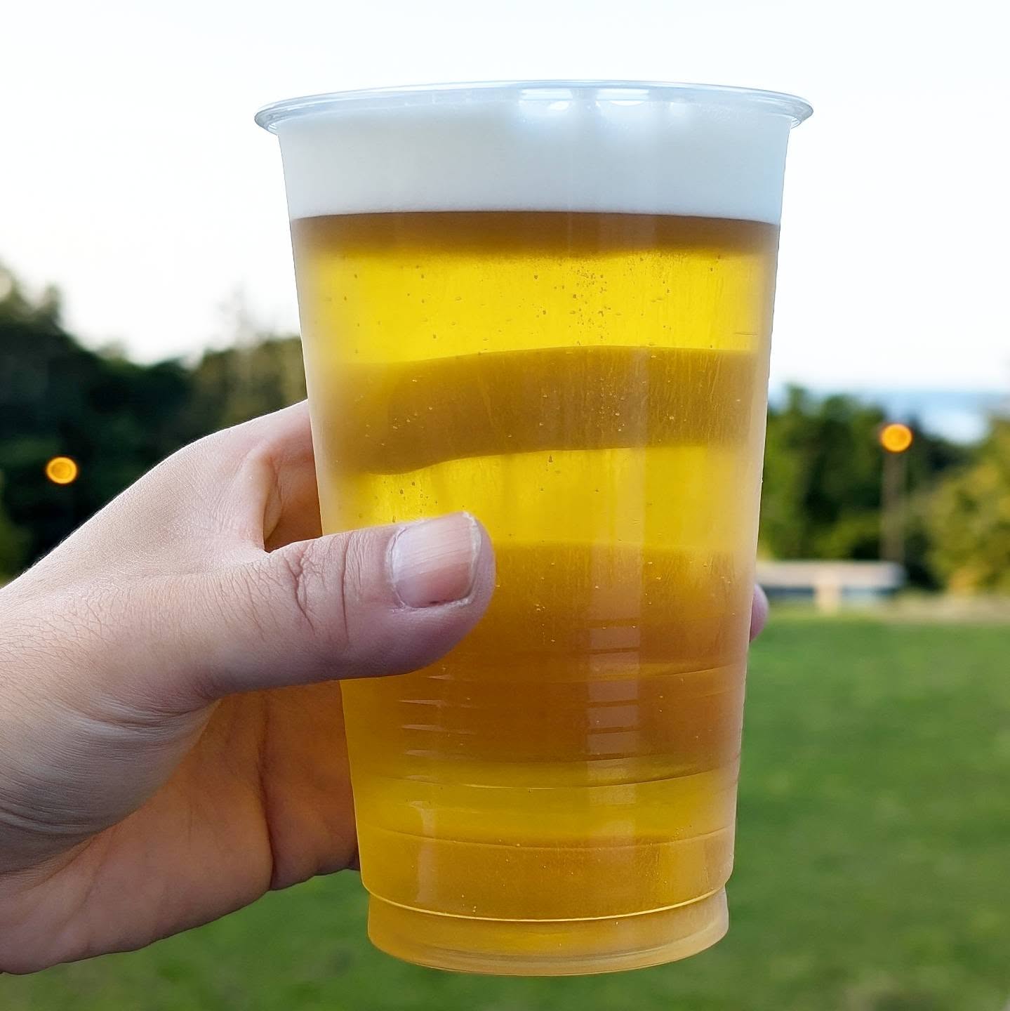 山本ホップが頂いたサッポロビールの「サッポロクラシック生」