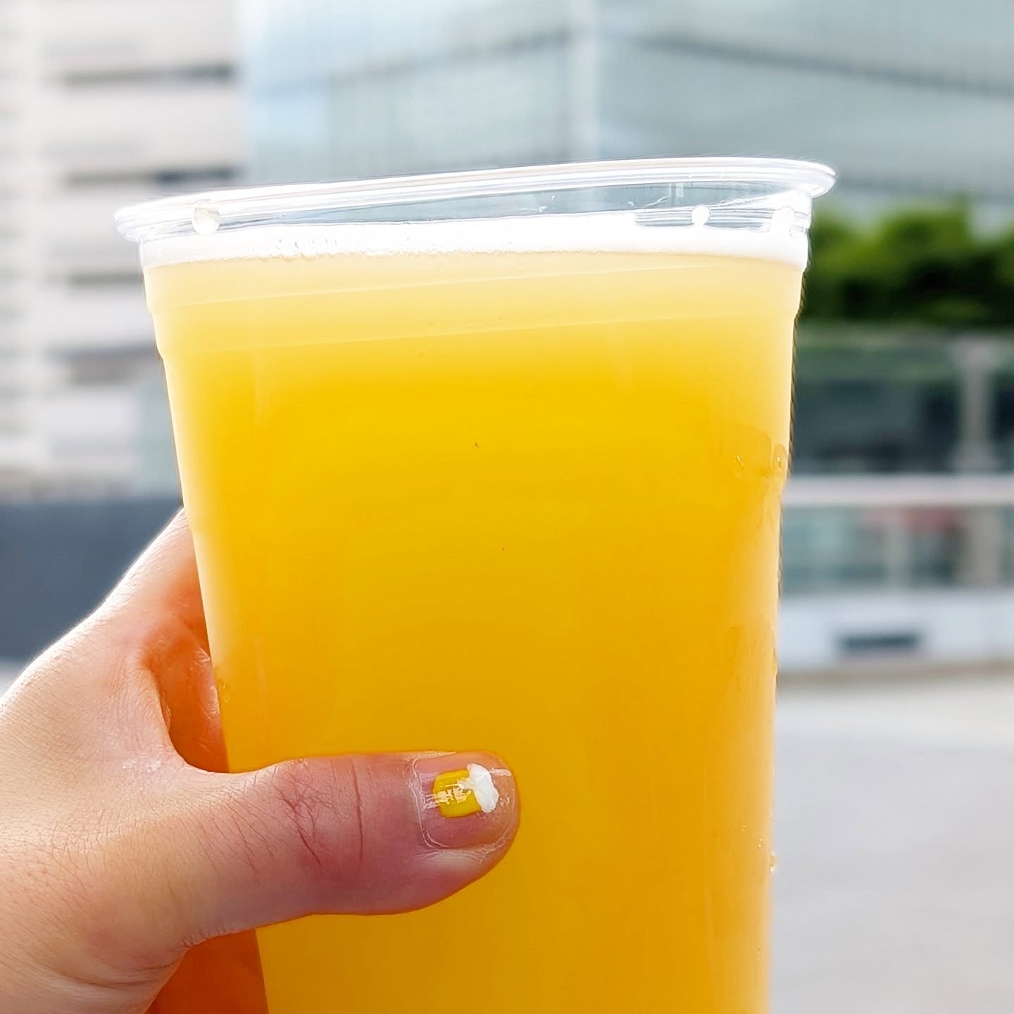 山本ホップが頂いたCHORYO Craft Beer 長龍の「SESSION HAZY IPA」