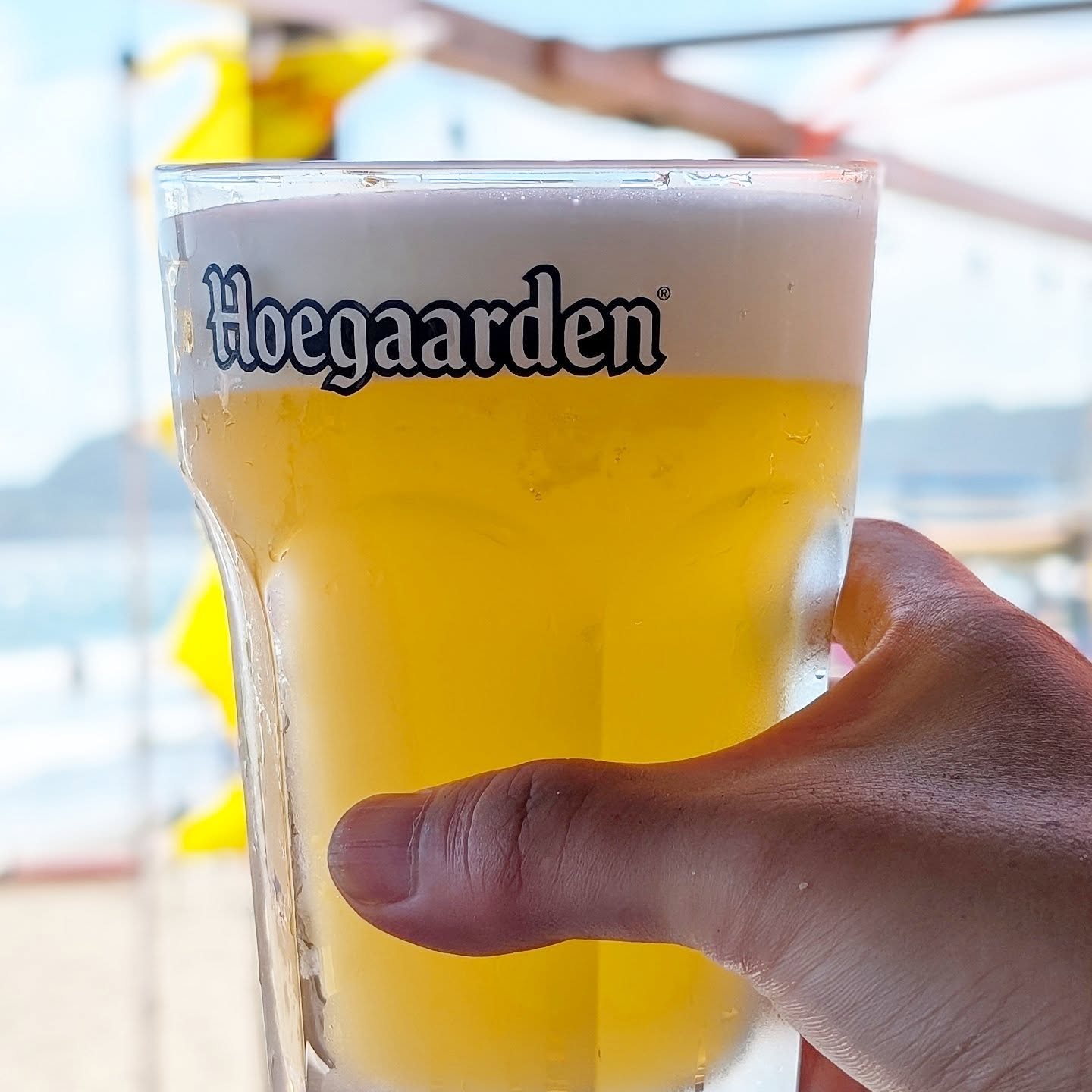 山本ホップが頂いたHoegaardenの「生ビール」