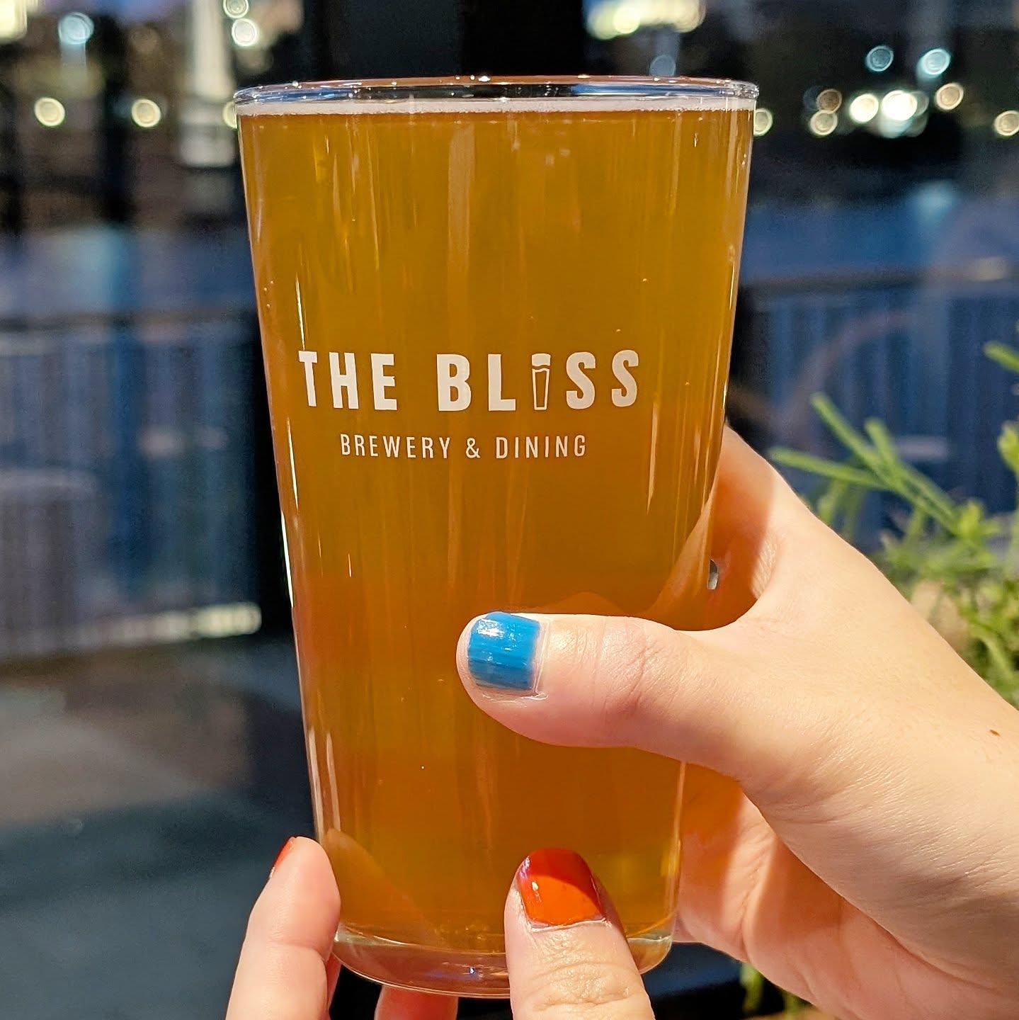 山本ホップが頂いたTHE BLISSの「Instinct Single Hop IPA」